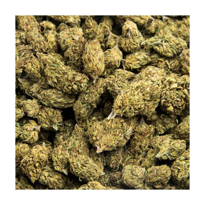 Super Skunk Indoor 10g Fleur CBD Kumo | Qualité Premium