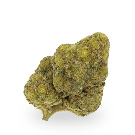 Lemon Cryo 5g Fleur CBD KUMO - Arômes Citron Frais | Kumo