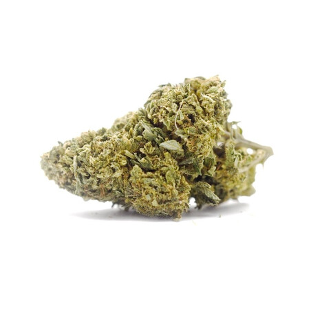 Super Skunk Indoor 2g Fleur CBD Kumo - Qualité Premium | Kumo