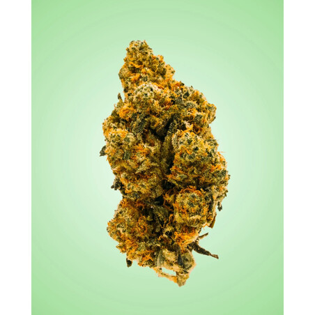 Fleur CBD Amnesia Haze CALITIES | Kumo