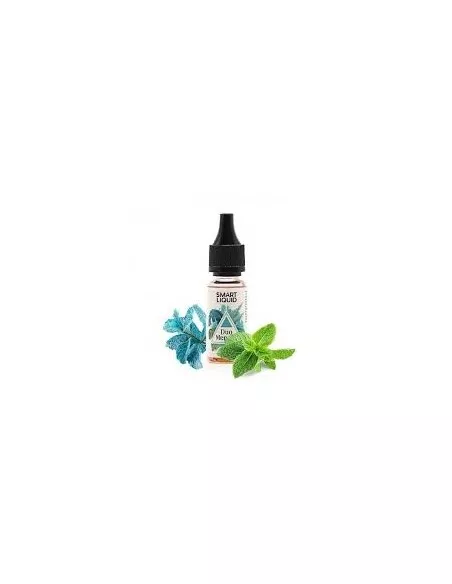 Duo de Menthes Smart Liquide 10ml | E-liquide mentholé | Kumo