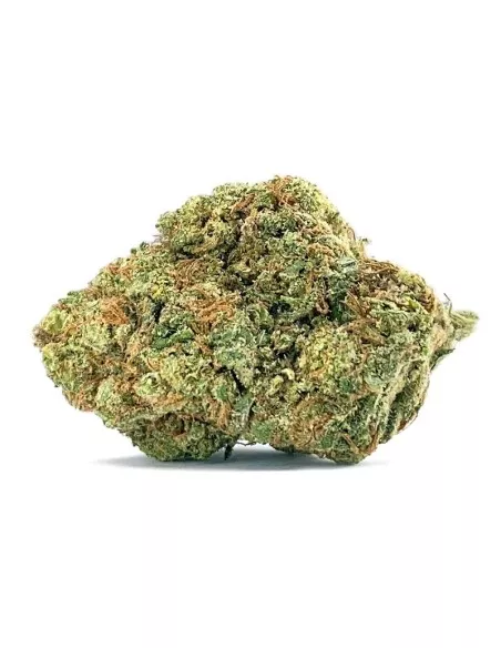 Fleurs CBD Gelato 10g - Expérience aromatique premium | Kumo